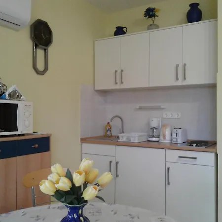 Apartment Molnar *